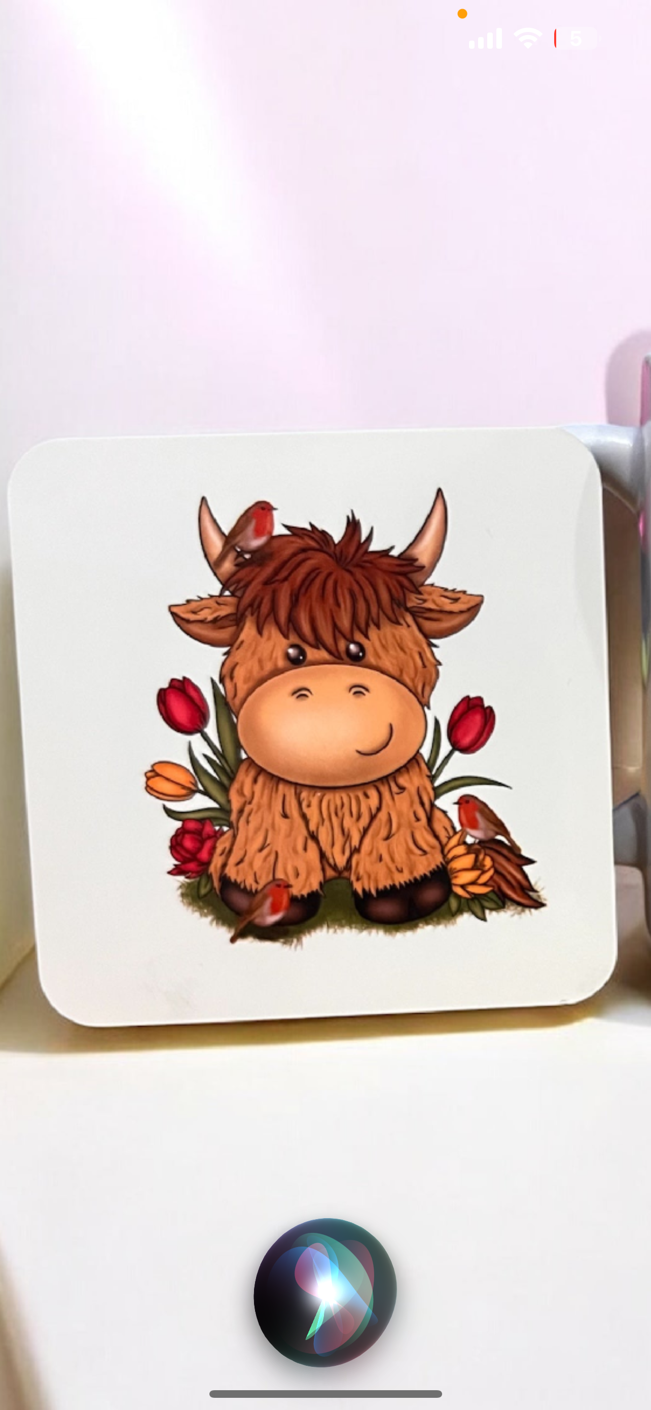 Highland Cow Tulip mug set